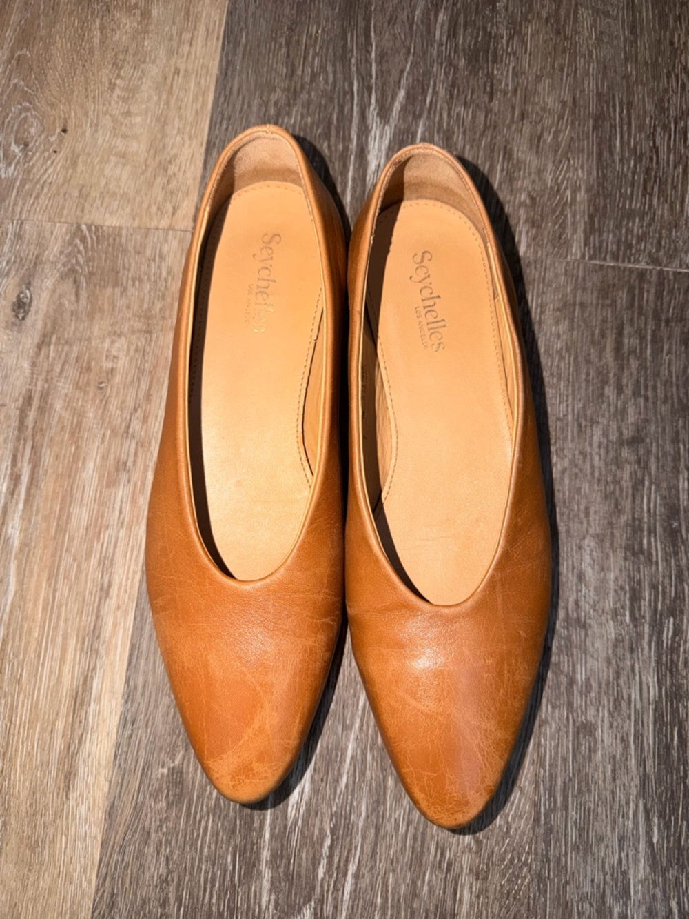 Seychelles Cognac Leather Pointed Ballet Flats